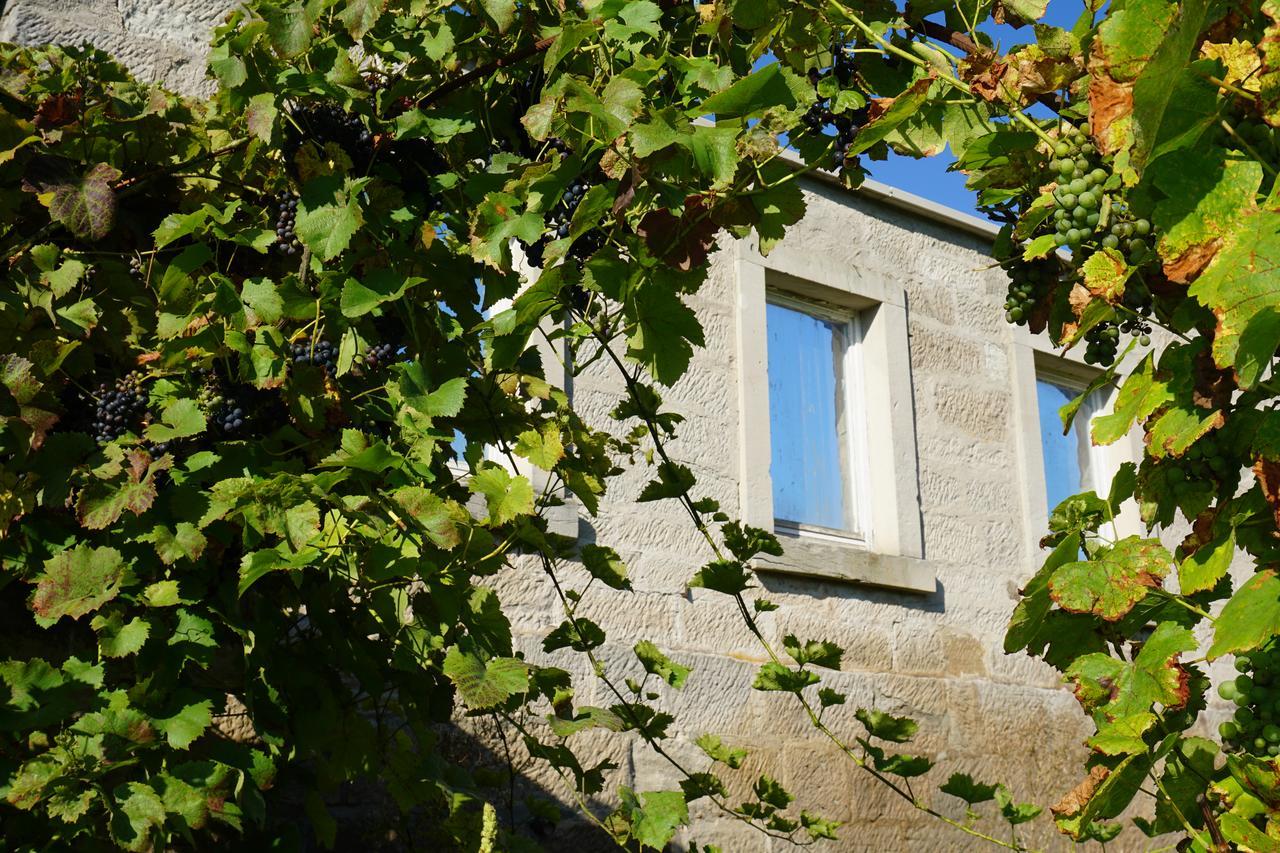 Bed and Breakfast Atelier Reinhart à Rauhenebrach Extérieur photo